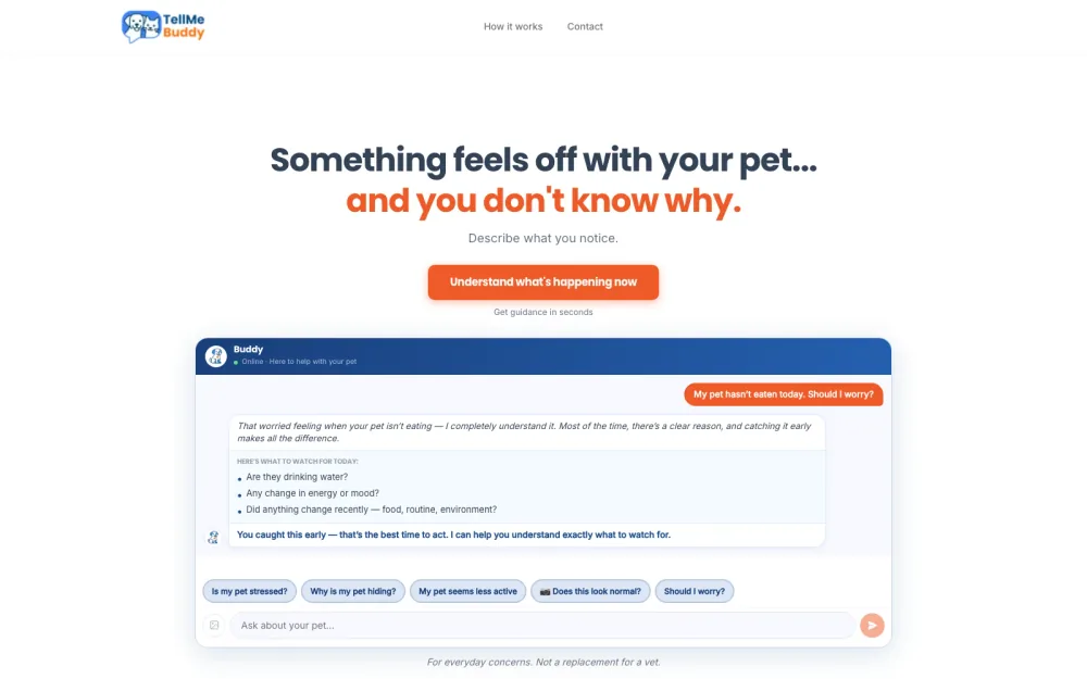TellMeBuddy AI pet companion homepage experience
